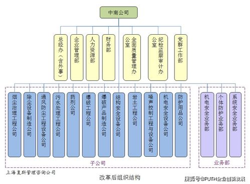 破局與新生 某高科技企業管理診斷與改革發展之路